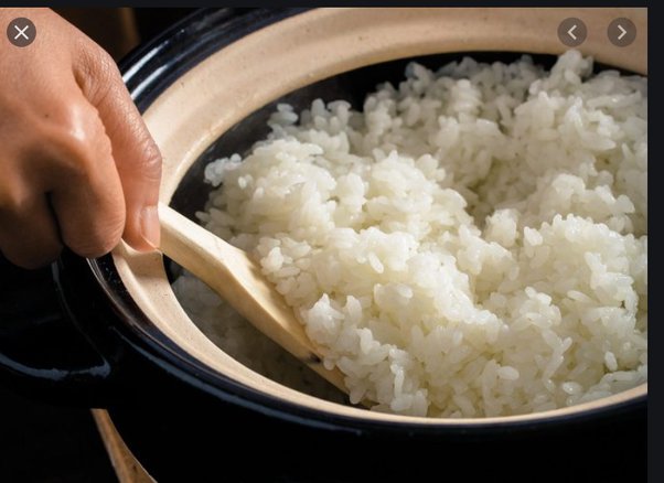Rice